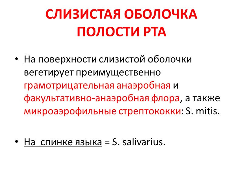 СЛИЗИСТАЯ ОБОЛОЧКА ПОЛОСТИ РТА На поверхности слизистой оболочки вегетирует преимущественно грамотрицательная анаэробная и факультативно-анаэробная